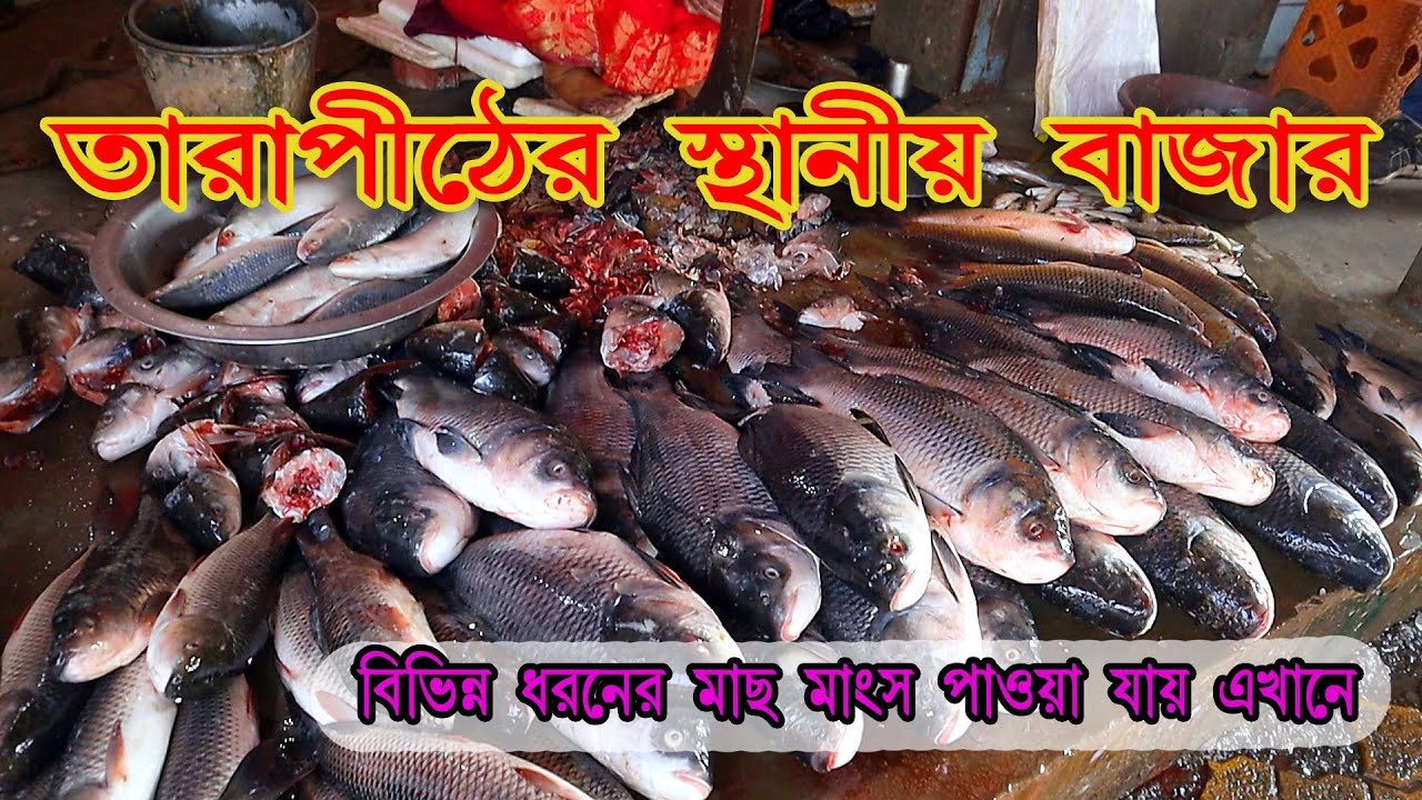 তারাপীঠের মাছ সবজির বাজার//Tarapith local market 2023//Tarapith Tour 2023
