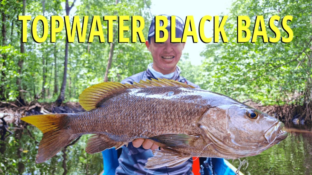 Topwater Fishing at Weda, Halmahera | PART 1
