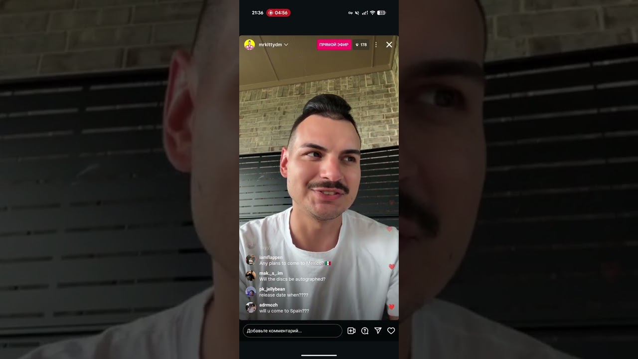 Mr.Kitty live stream 09.17.25