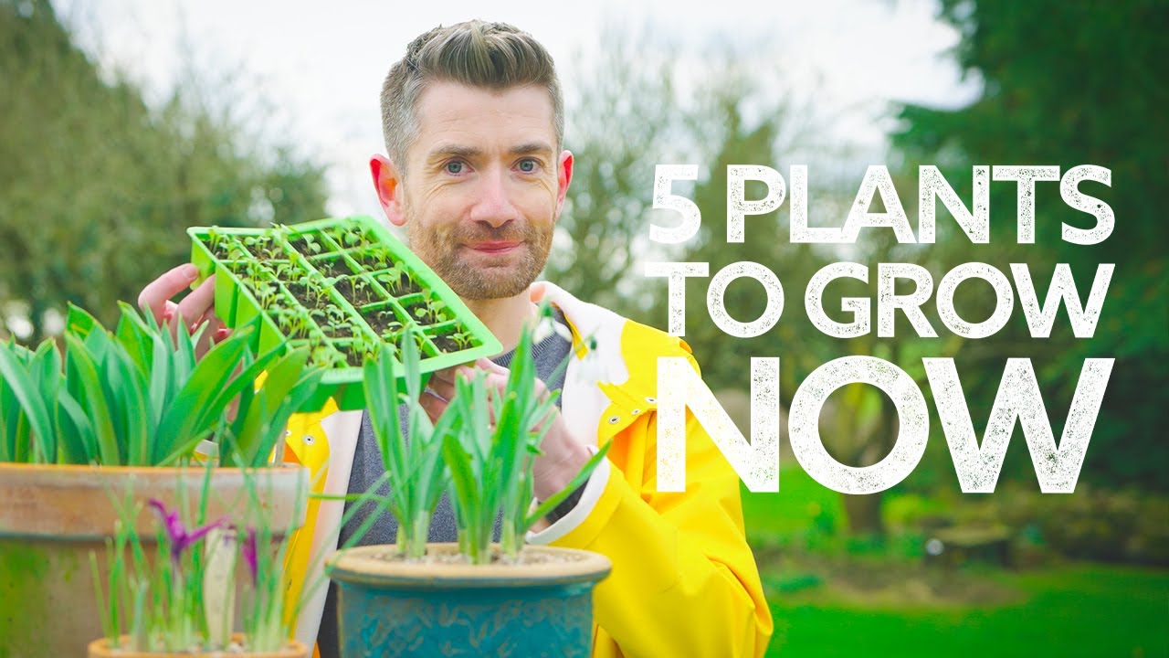 What to Plant in March | Not the Usual 'What to Sow' Video!