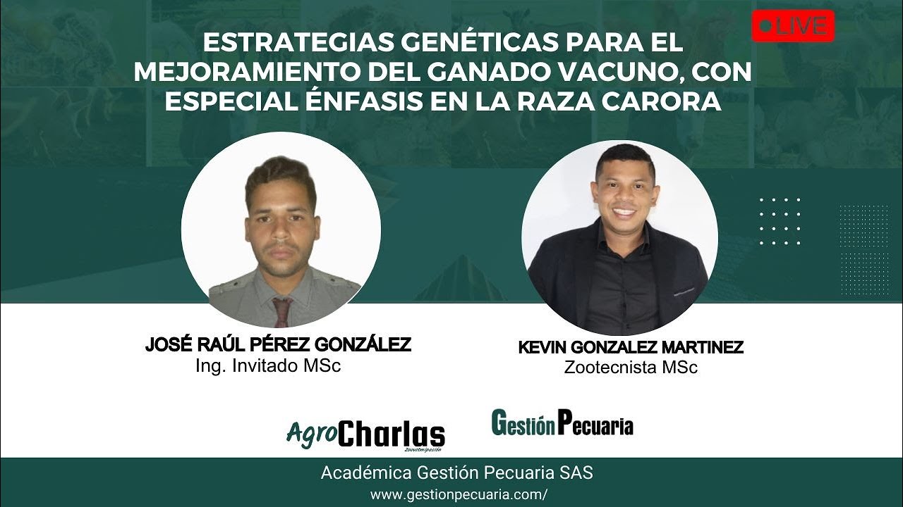 Estrategias genéticas para el mejoramiento del ganado vacuno, con especial énfasis en la raza Carora