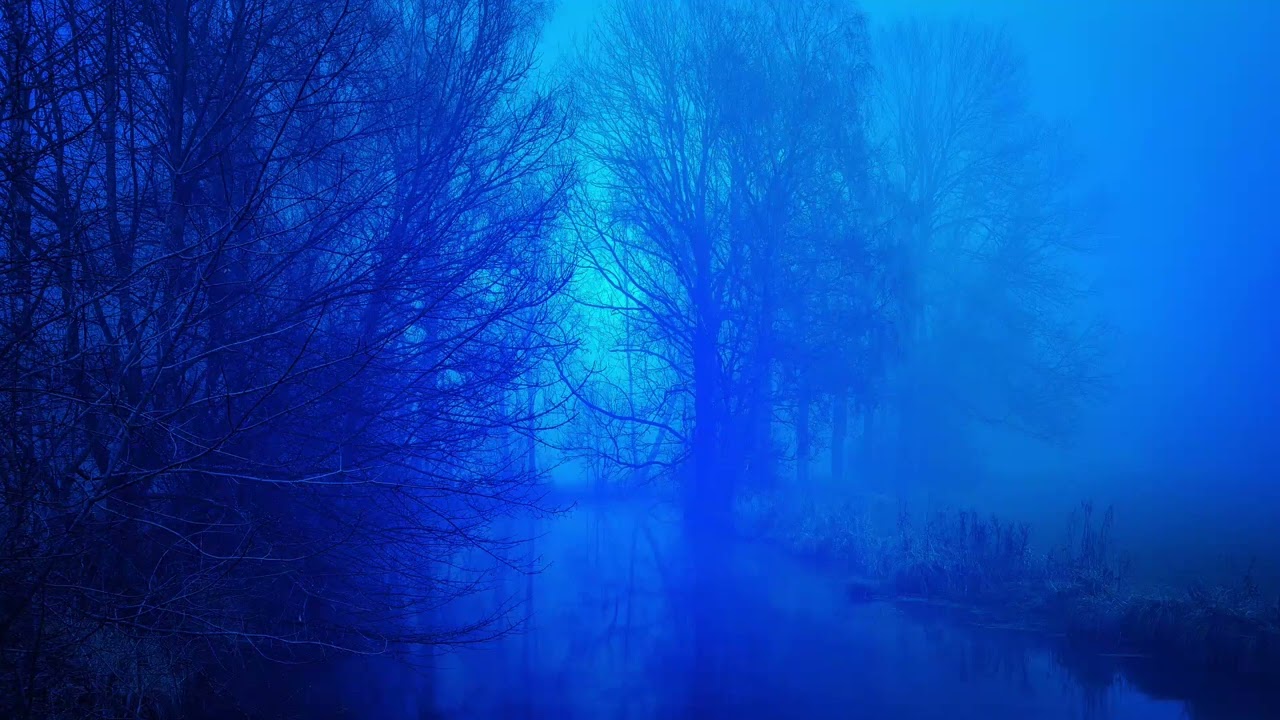 Midnight Calm 🌙 | The Inner Sound – Jesse Gallagher | Relaxing Ambient #ambientmusic #viral #relax