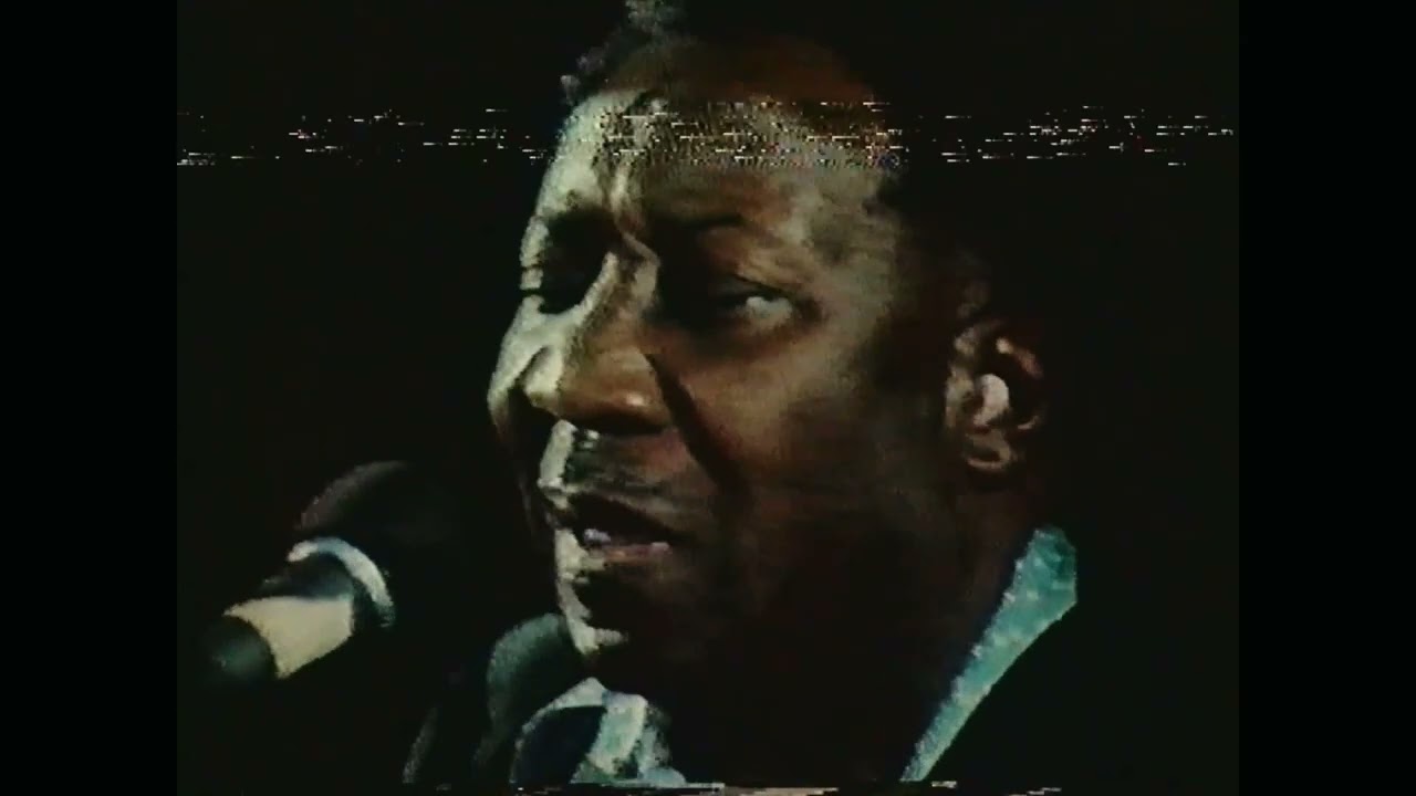 Muddy Waters - México Blues Festival (1979)