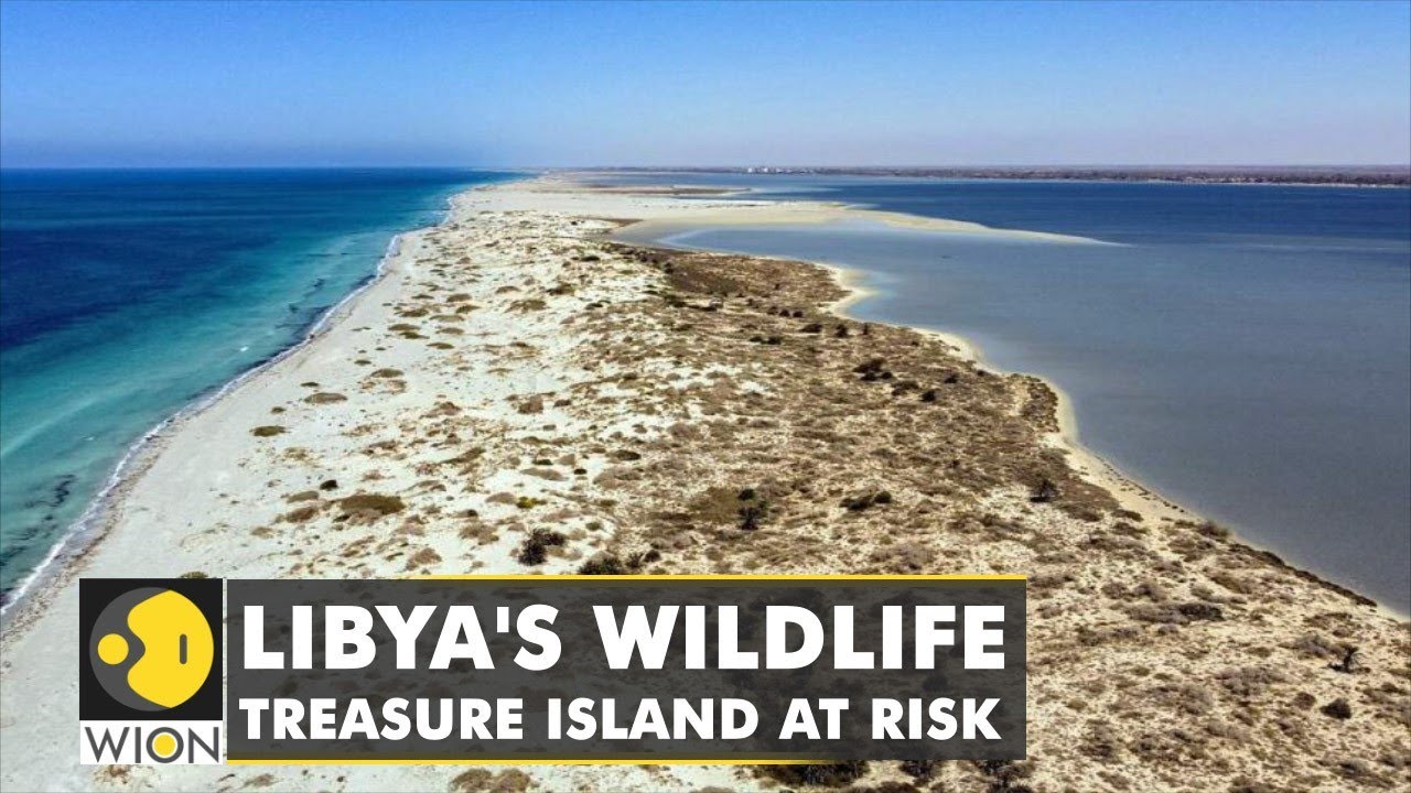 Environmental activists concerned over future of Libya's wildlife treasure island | Farwa Island