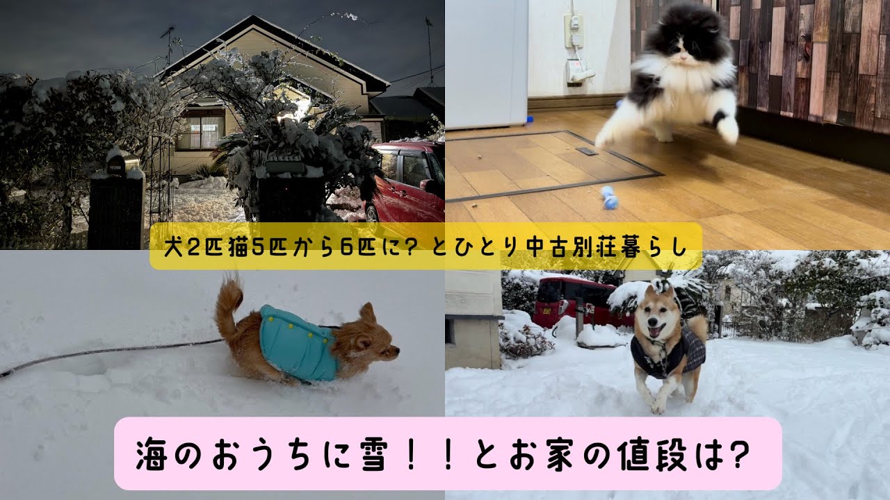 海のお家に雪！とお家の値段は？
