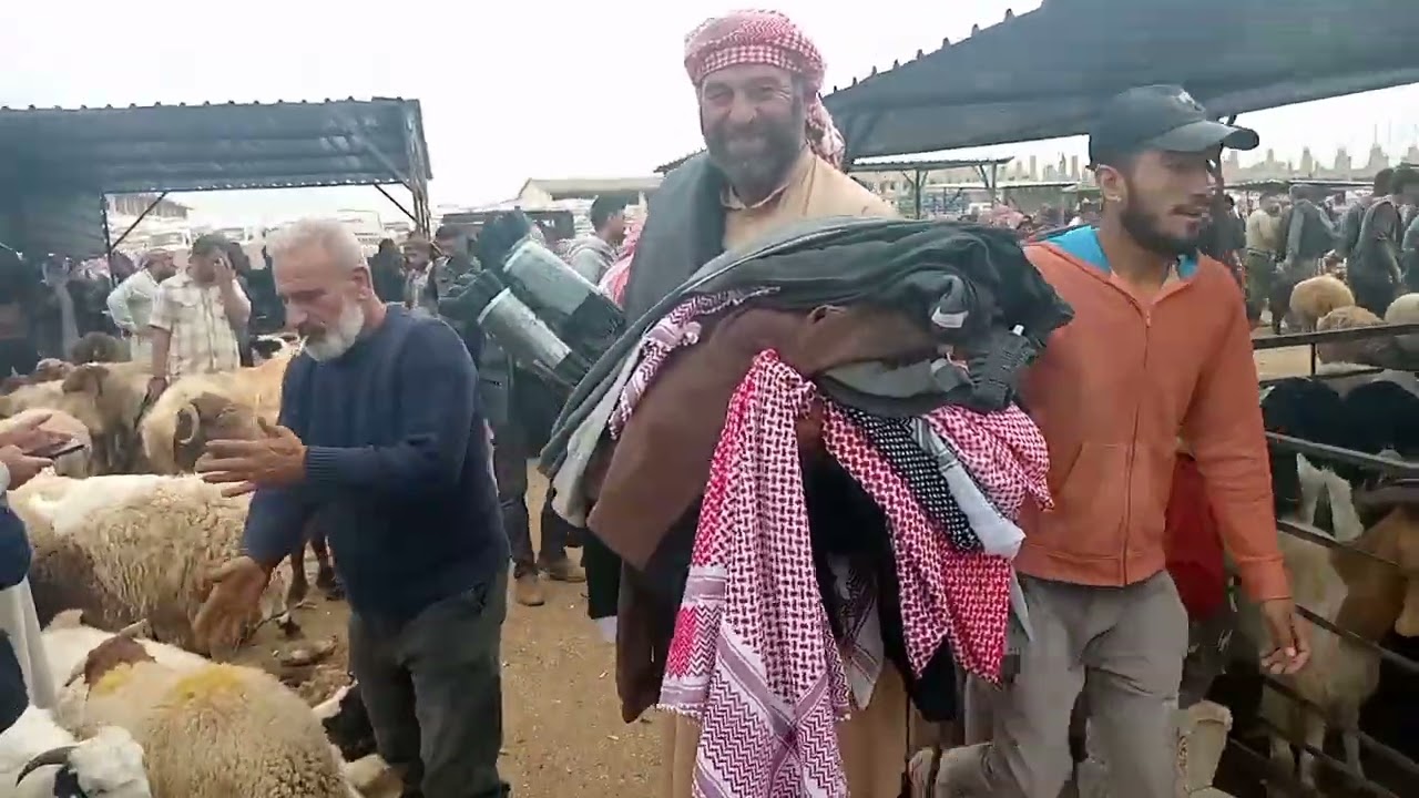 قناة زياد العموري للمواشي سوق جبرين حلب سعر الغنام والخروف لااتنسو الاشتراك بالقناه 2025/10/21