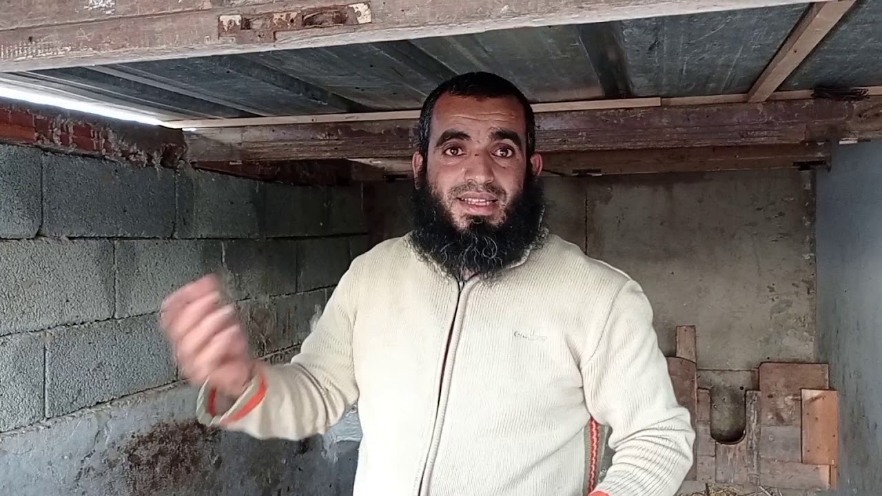 ماعز الألبين في المغرب الرحمة الجزاء الثاني