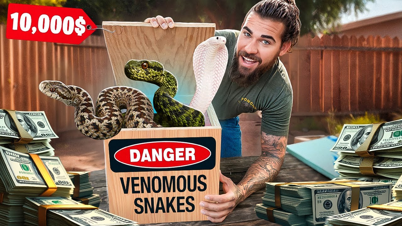 $10,000 Venomous Snake Unboxing!