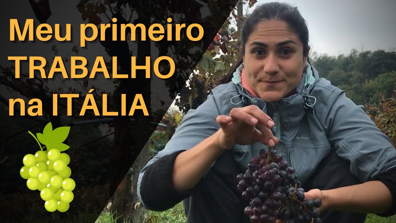Meu primeiro trabalho na Itália. Trabalhei na colheita de uva