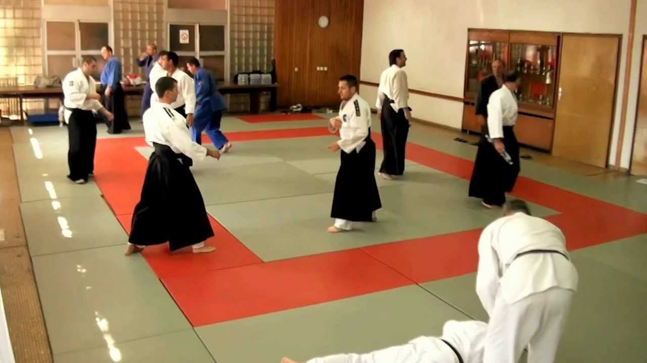 Aikido seminar za Majstore i Instruktore