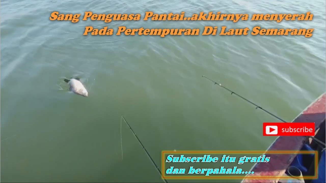 Akhirnya Penunggu Pantai Menyerah Juga, Eps 29