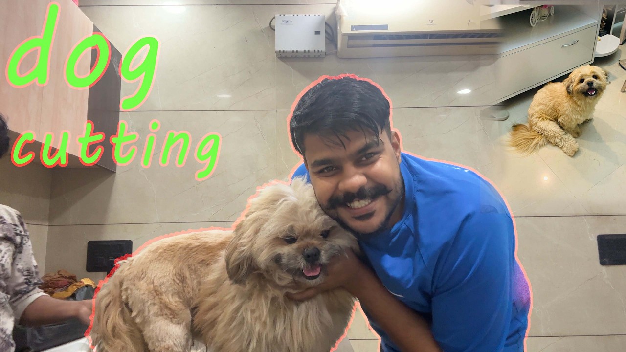 🐶🐶Extreme Dog Grooming Transformation | Before & After🐶🐶