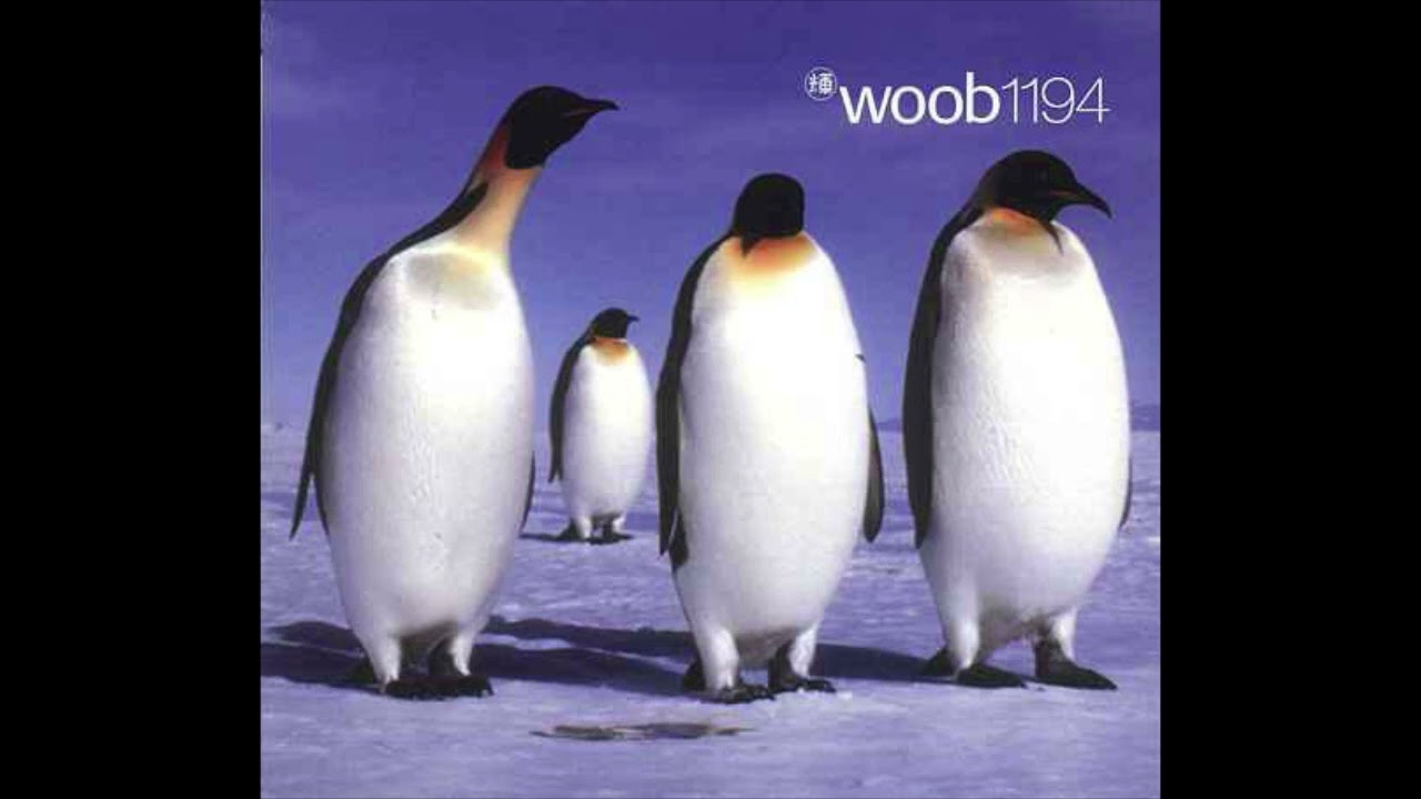 Woob - On Earth