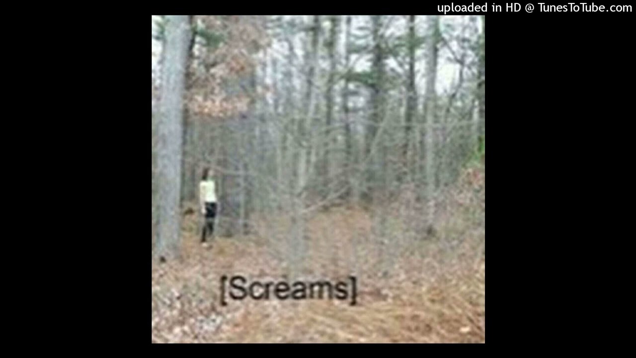 (free) vinso x novagang x ripsquad type beat 'scream'