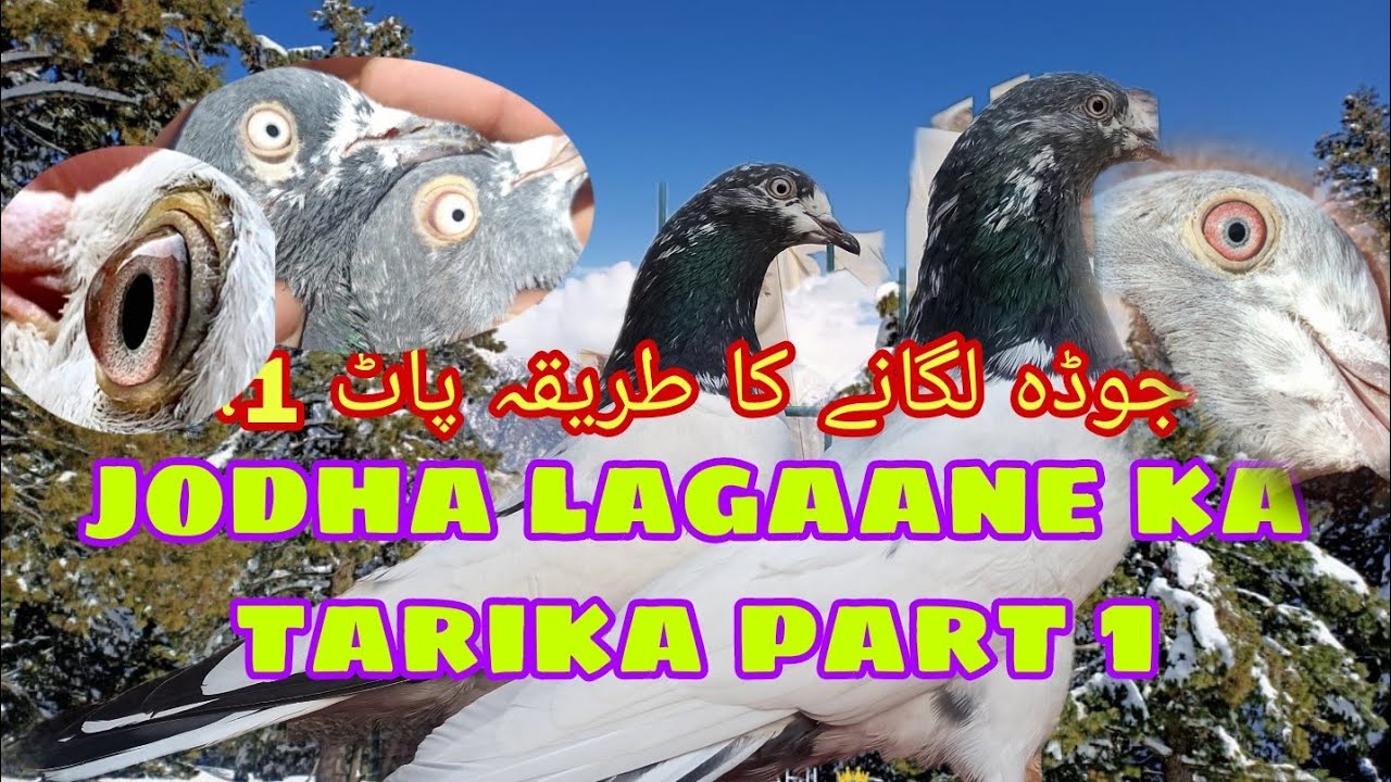 joda lagane ka tarika