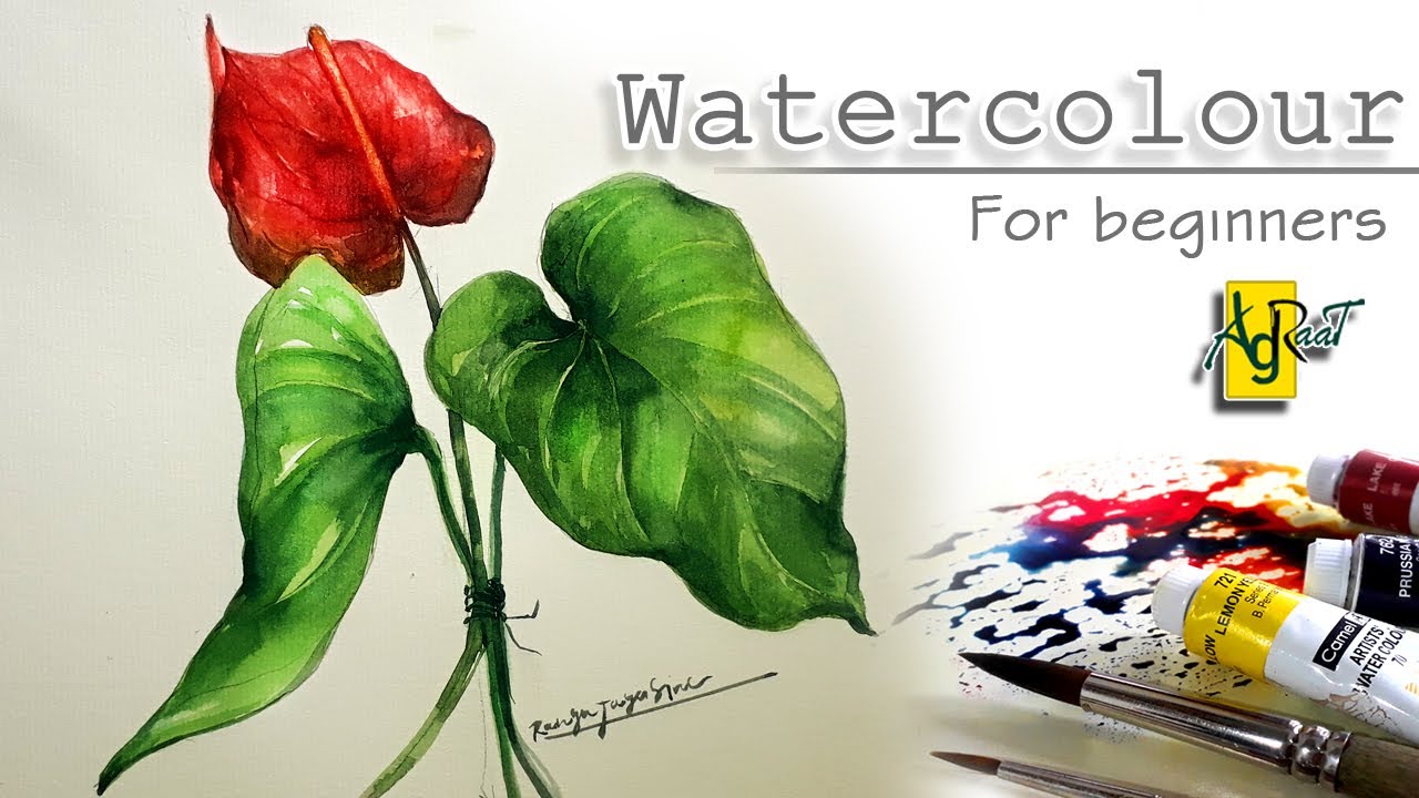 How to draw anthurium flower and leaves ( for beginners )