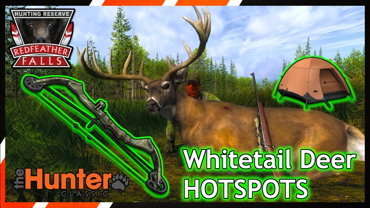 Руководство для начинающих: Белохвостый олень | theHunter Classic