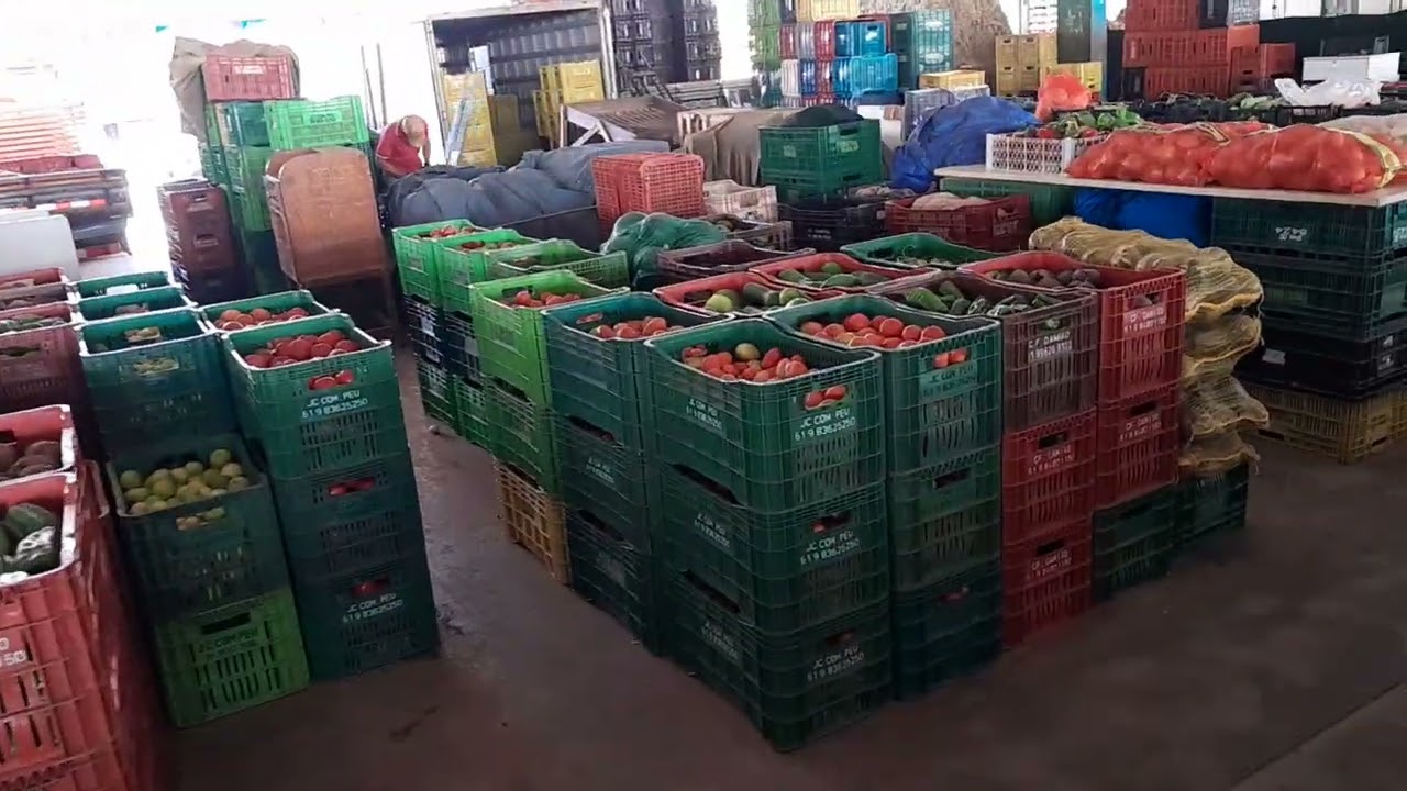 Esta é a Feira do produtor de Ceilandia DF...