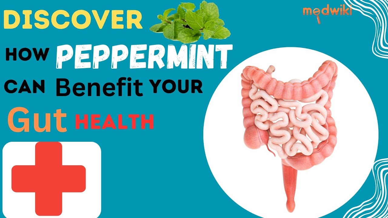 The surprising health benefits of peppermint for your gut health!