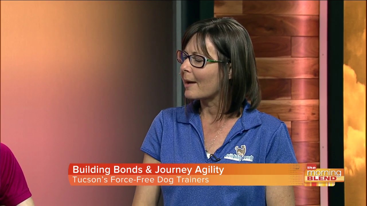 Why 'force-free' training is the right way to train dogs