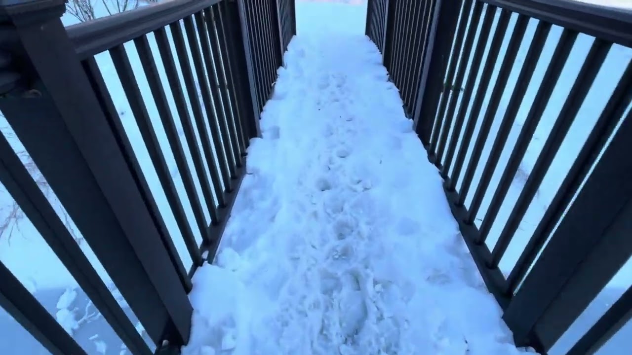 ☃️❤️Snow in Maryland ❤️❄️