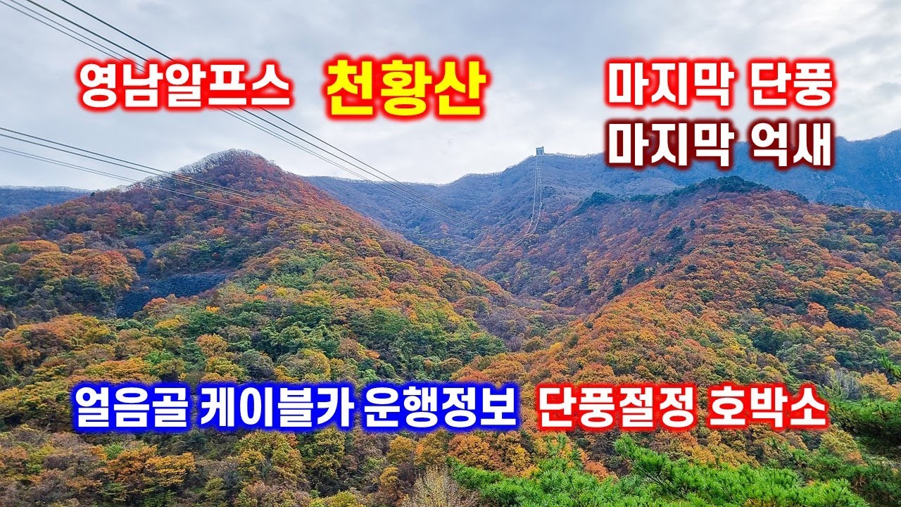 마지막 단풍, 마지막 억새 - 영남알프스 케이블카 산행과 호박소 단풍 여행