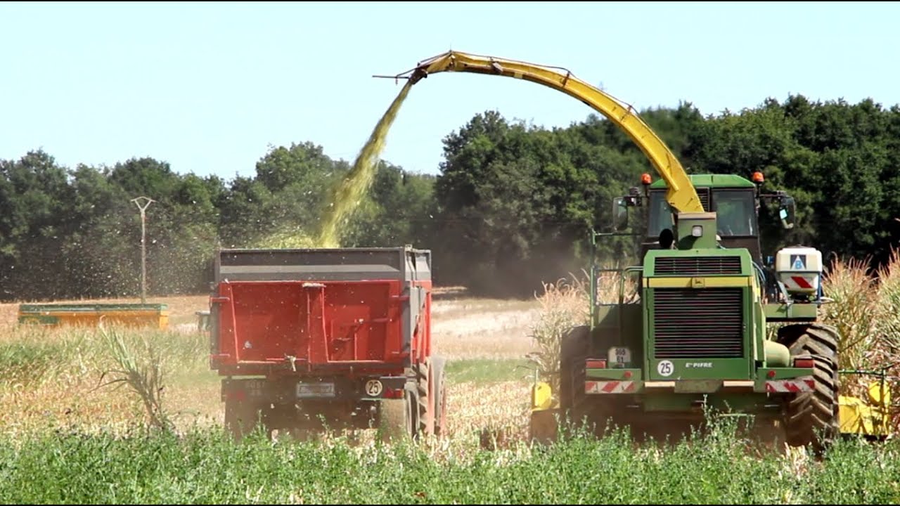 Ensilage de ma&iuml;s d&eacute;but ao&ucirc;t 2020 &agrave; la Cuma de Blanzay