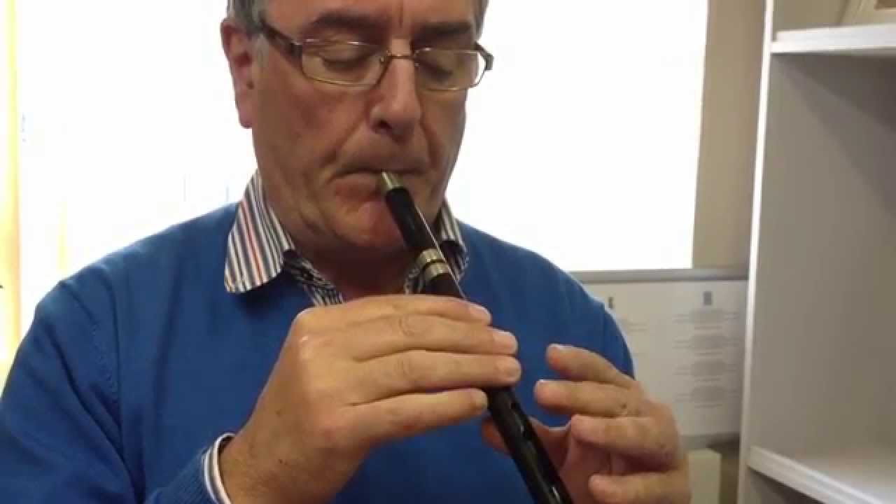 Roy Mac Managhnuis Whistle (McManus Belfast)