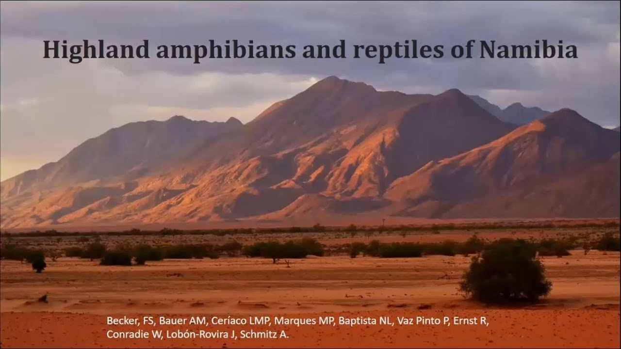 GMBA Spotlight webinar: Highland amphibians and reptiles of Namibia (Francois Becker, 15 May 2024)