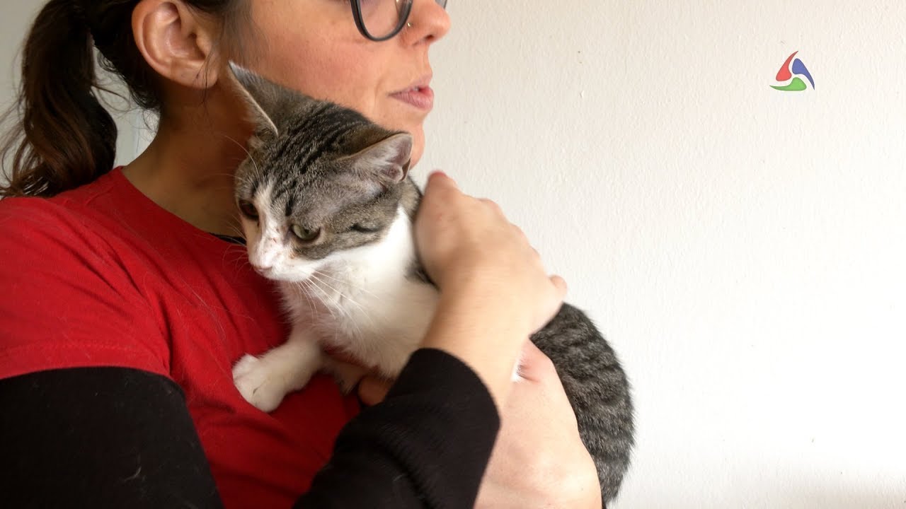 SER fator de mudan&ccedil;a na vida dos animais &ndash; Terceira Dimens&atilde;o 1690