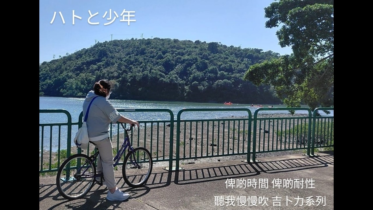 Alice Chow 周謙柔 久石讓 天空之城 宮崎駿『ハトと少年』Joe Hisaishi 天空の城ラピュタ フルート長笛版