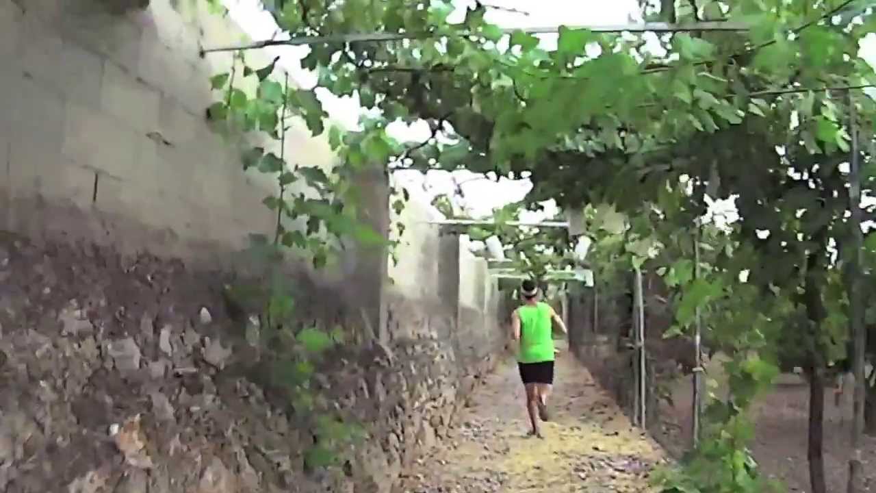 V Cursa Malalts de Turmell