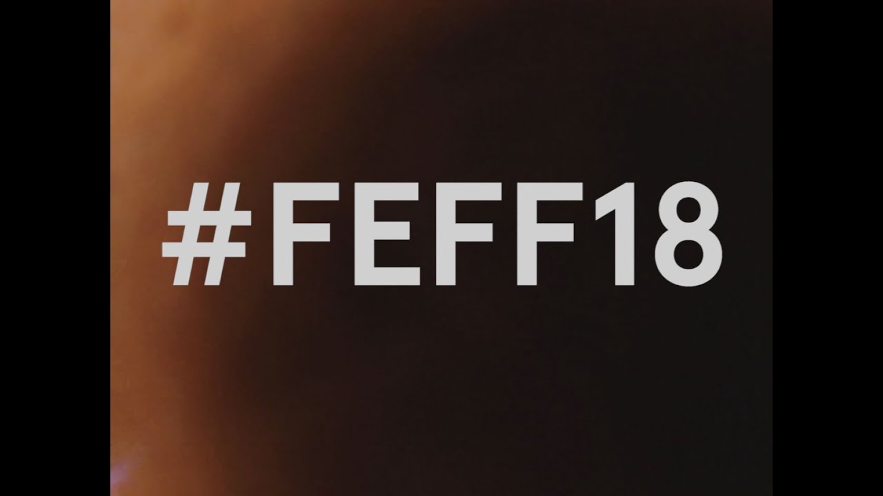 WILD FEFF | Far East Film Festival 18