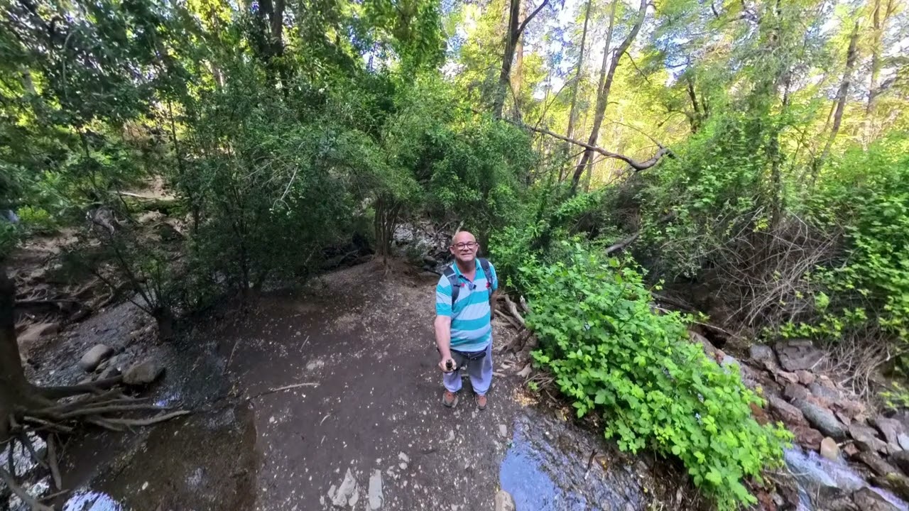 Lago Puelo 