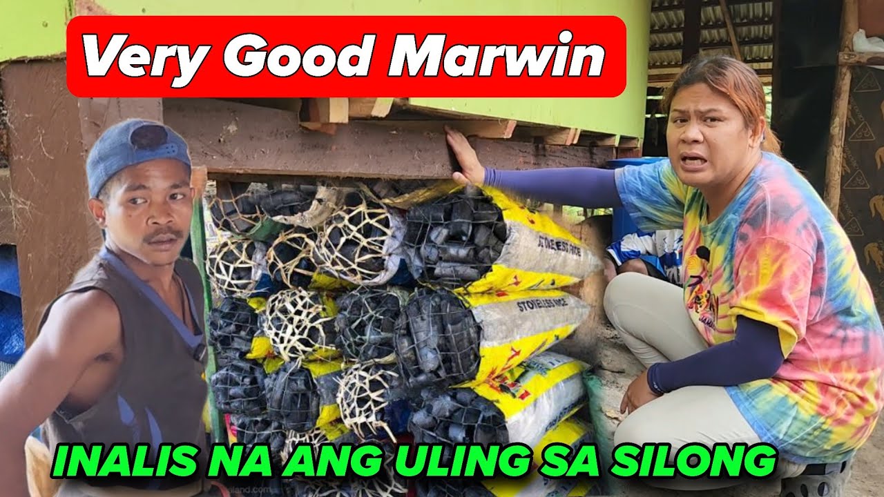 PINAALIS KO MGA ULING AT KAHOY SA SILONG DAHIL DELIKADO