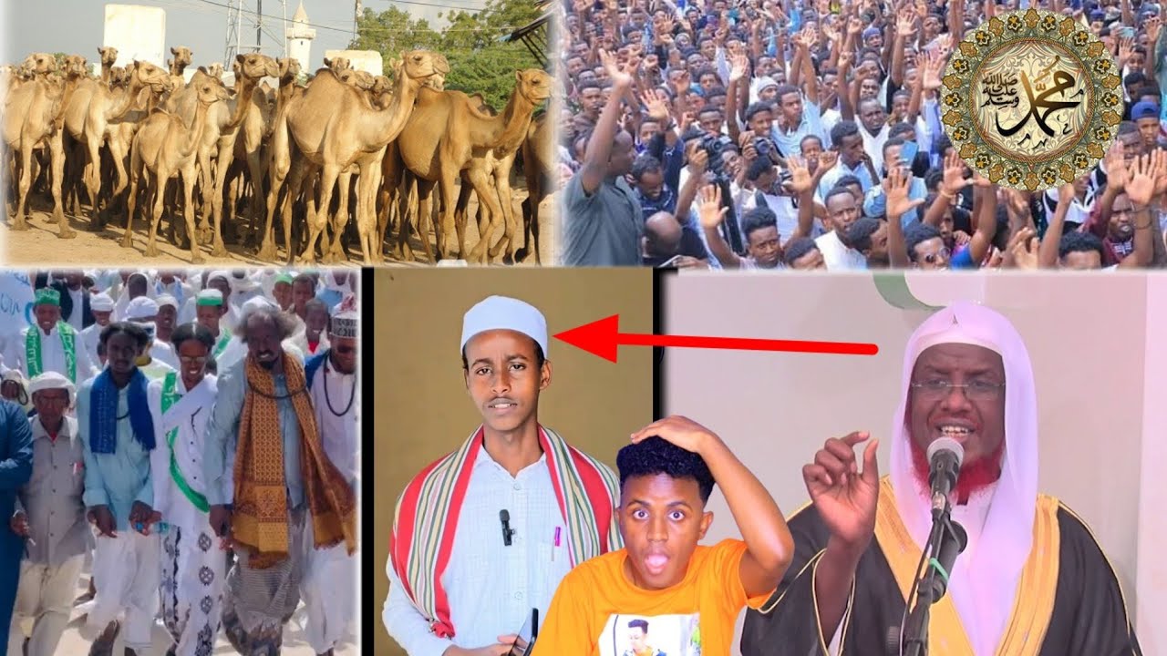 DEG DEG WIIL SUUFI AH OO WEERARAY SH UMAL XUSKA NABIGA DARTIIS 