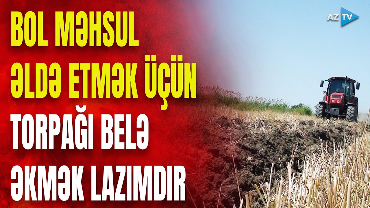 Bol məhsul əldə etmək üçün torpağı necə əkmək lazımdır? – Fermerdən EKSKLÜZİV TÖVSİYƏ