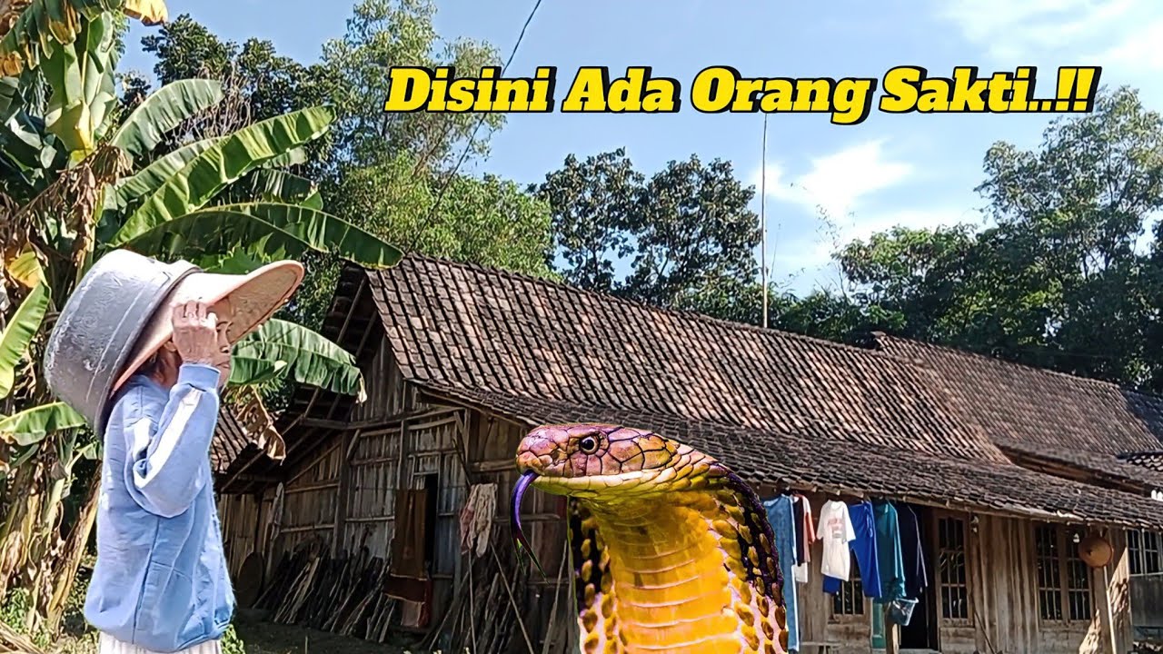 Viral Nyata Kakek Sakti Tinggal Di Rumah Nyentrik Desa Terpencil Tengah Hutan Belantara Jawa Tengah