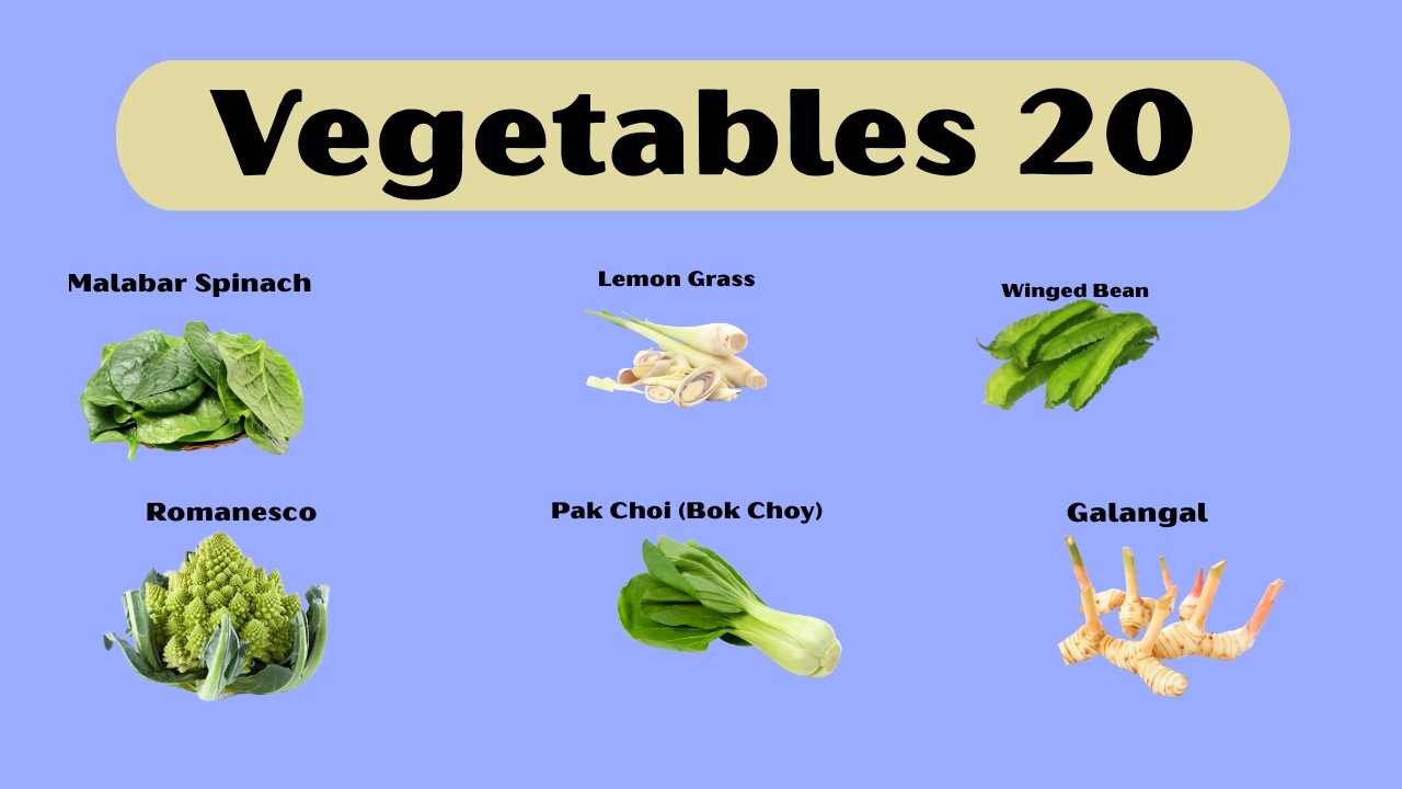 🥬Preschool Vegetables | Green Vegetables for Kids | Healthy Vegetables for Little Learners 🥬