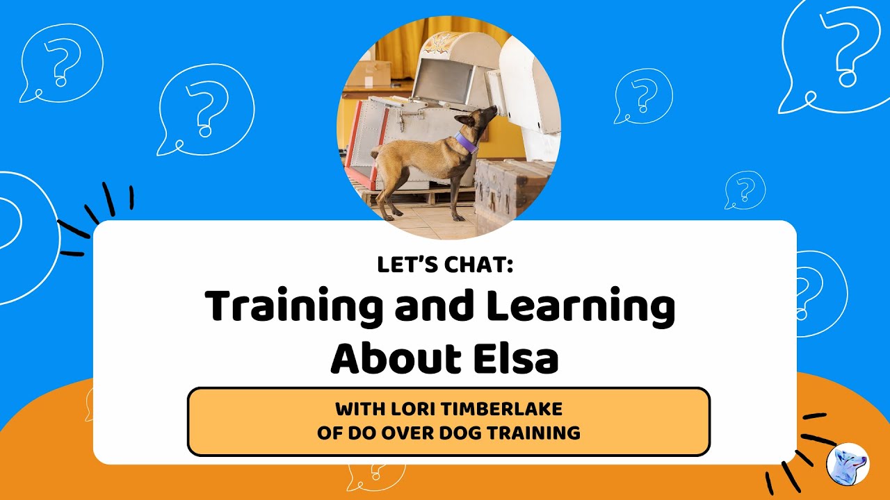 Let's Chat: Training and Learning About Elsa