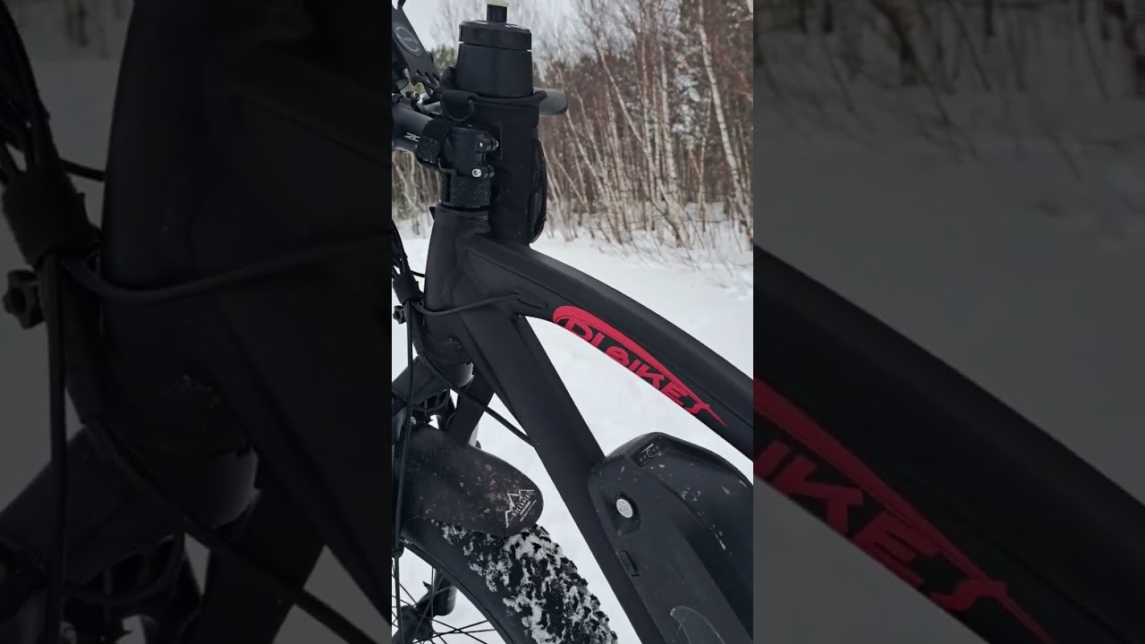 DJ Bikes E FatBike Review