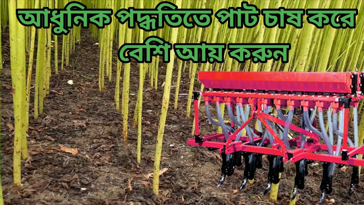 এখন পাটের গাছ জন্মাবে সারি হয়ে!#পাট#কৃষি #agriculture #mondalagricultutre