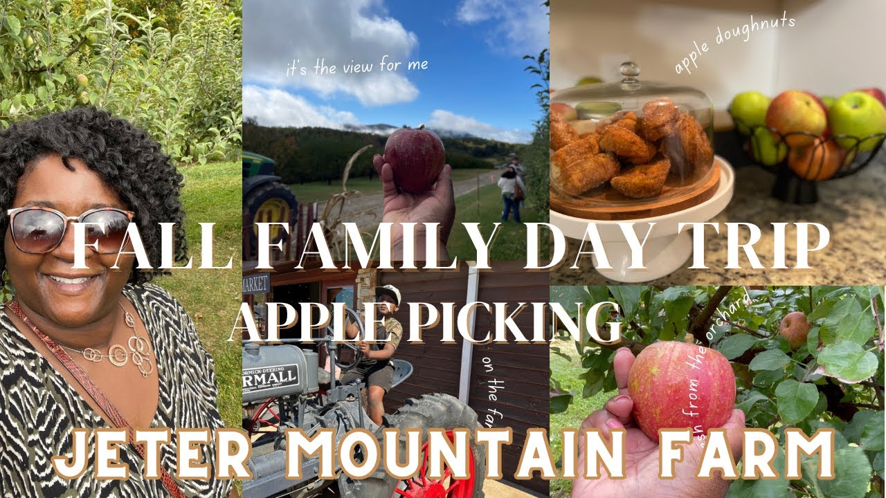 Fall Fun: Apple Picking Adventures at the Orchard | Jeter Mountain Farm
