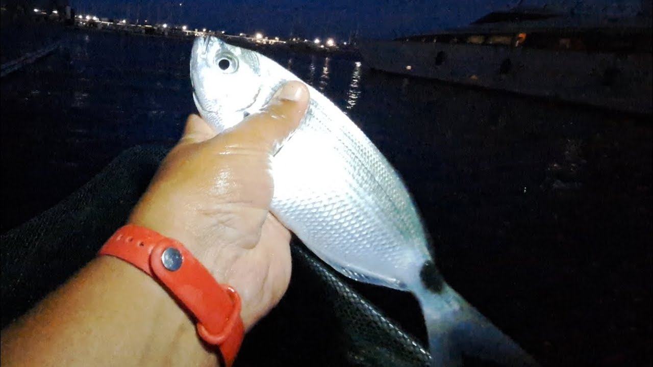 Night summer fishing🎣🌙Pesca bolognese 🇮🇹 &psi;ά&rho;&epsilon;&mu;&alpha; &Mu;&epsilon;&lambda;&alpha;&nu;&omicron;ύ&rho;&iota; &mu;&pi;&lambda;&omicron;&nu;έ&zeta; 🇬🇷 Bolognaise 🐟Montage &Alpha;&rho;&mu;&alpha;&tau;&omega;&sigma;&iota;ά🧵