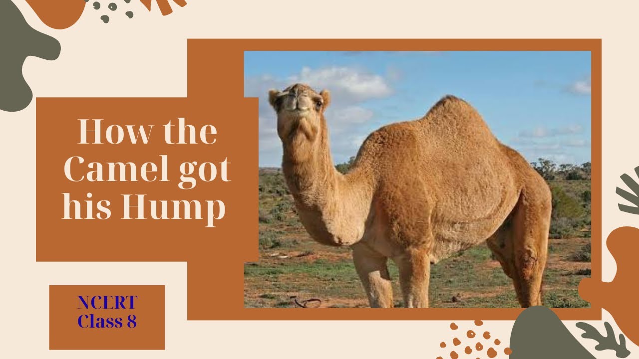 How the Camel Got His Hump | NCERT Class 8 English | Full Story with Explanation