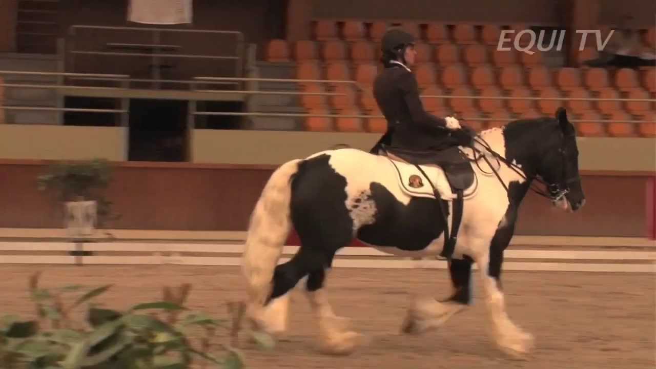Para-equestre &agrave; Moorsele & Concours