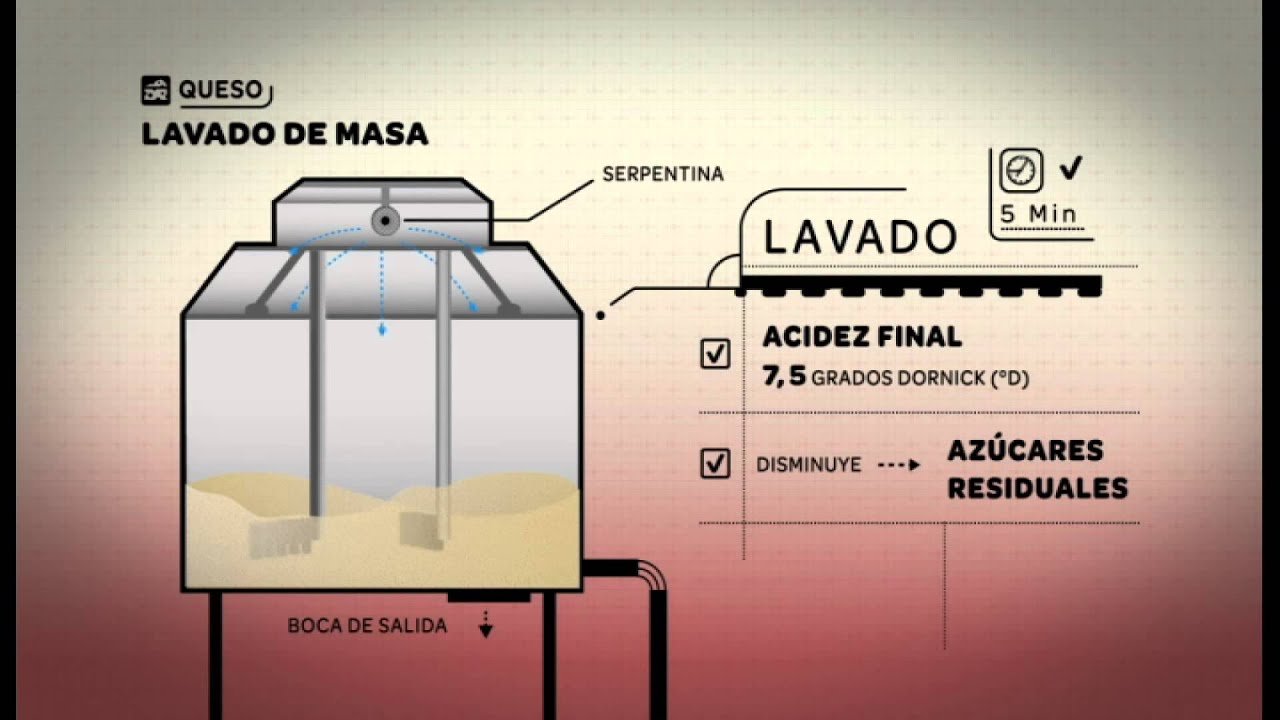 Alimentos: Capítulo 11: Queso