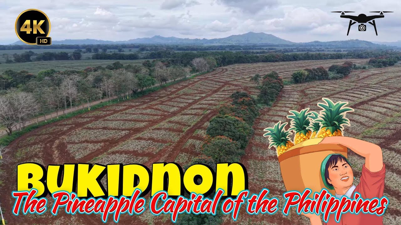 Bukidnon: The Pineapple Capital of the Philippines | Drone Shots | ZC Explore PH