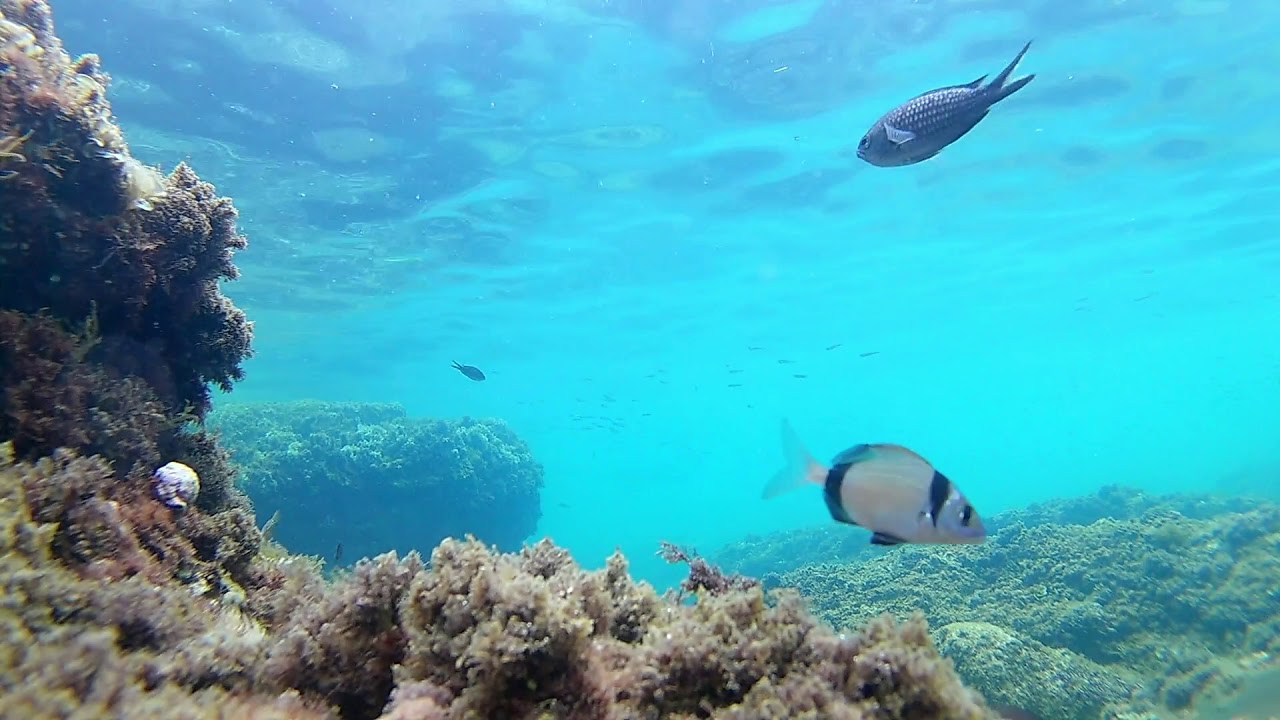 Amazing sea//under sea//july 2017-4k//Herceg-Novi