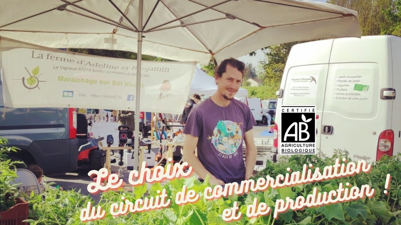 Production et commercialisation d'une ferme en maraîchage sur sol vivant